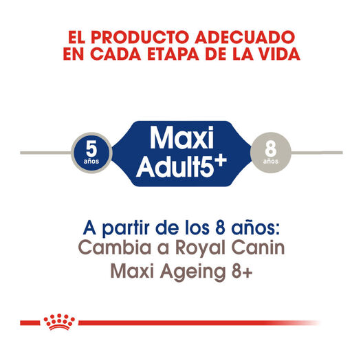 Royal Canin Adult +5 Maxi ração seco para cão adulto de raça grande, , large image number null